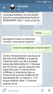 bot su telegram